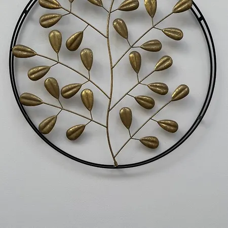 Reda Στσέτσιν